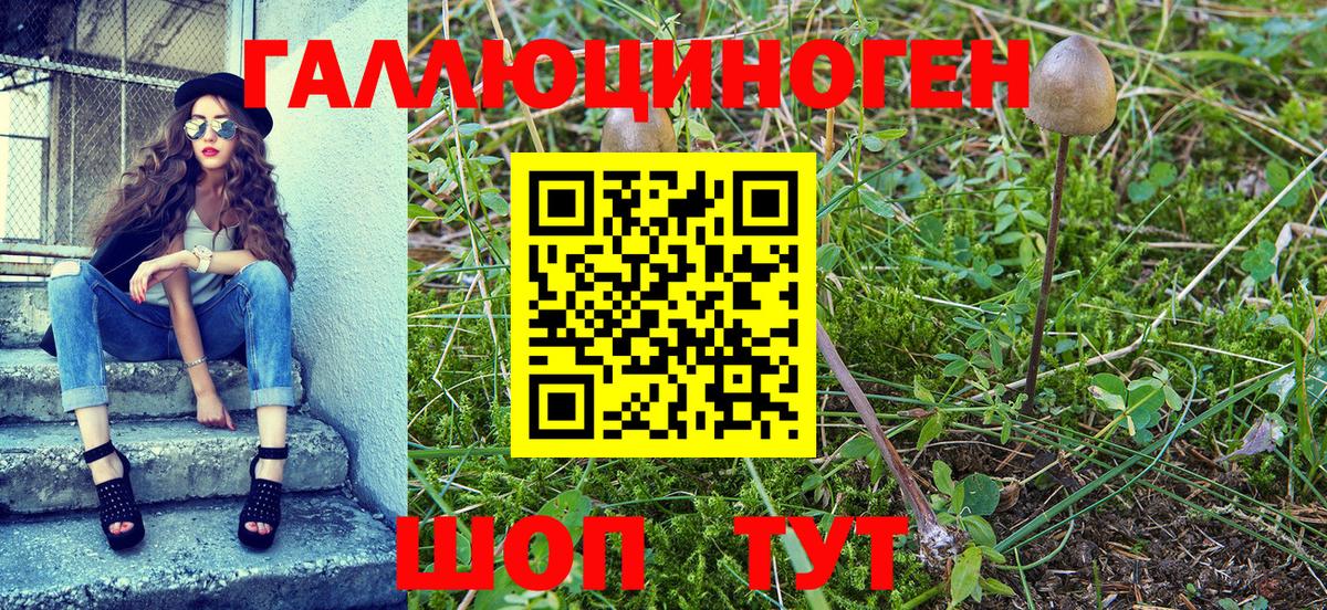 Псилоцибиновые грибы MAGIC MUSHROOMS  купить   Чита  Вход с VPN  Псилоцибиновые грибы ЛСД 